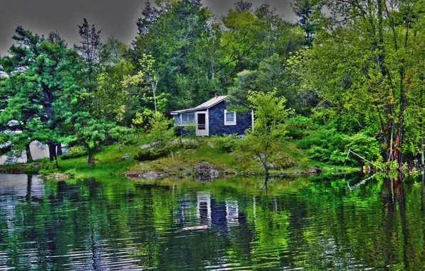 Картинка лес, деревья, озеро, дома