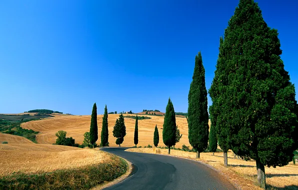 Дорога, небо, деревья, холмы, поля, Италия, Тоскана