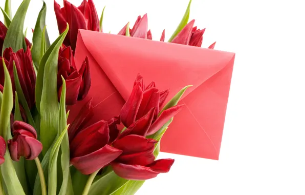 Картинка письмо, романтика, весна, тюльпаны, red, 8 марта, beautiful, Spring