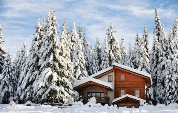 Картинка зима, снег, деревья, пейзаж, природа, зимний, елки, домик
