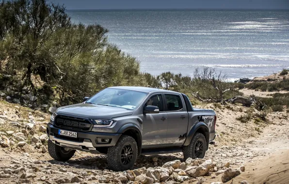 Картинка вода, серый, побережье, растительность, Ford, Raptor, пикап, Ranger