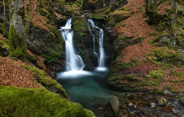 Картинка лес, ручей, камни, Франция, мох, водопал, Арьеж