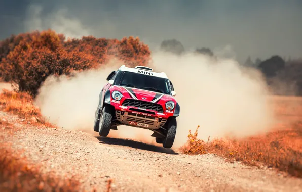 Красный, Mini, Пыль, Спорт, Скорость, Гонка, Rally, Внедорожник