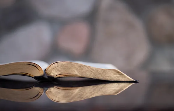 Christian, Bible, Aaron Burden, Holy Bible