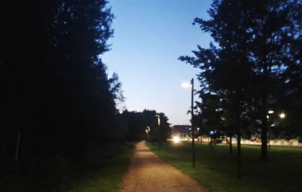 Дорога, ночь, фонарь
