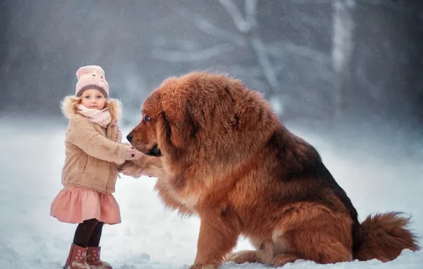 Картинка зима, снег, настроение, собака, дружба, девочка, друзья, пёс