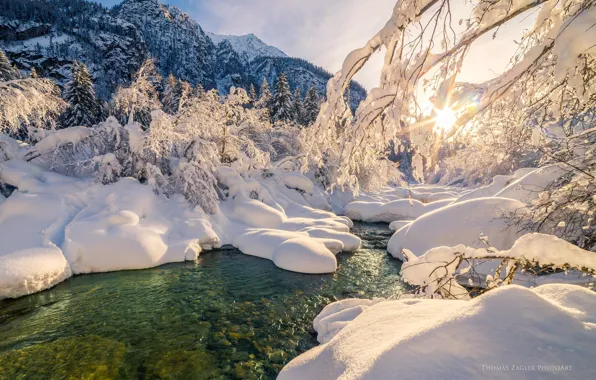 Картинка зима, лес, вода, солнце, снег, деревья, река, ручей