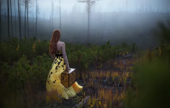 Картинка лес, девушка, чемодан