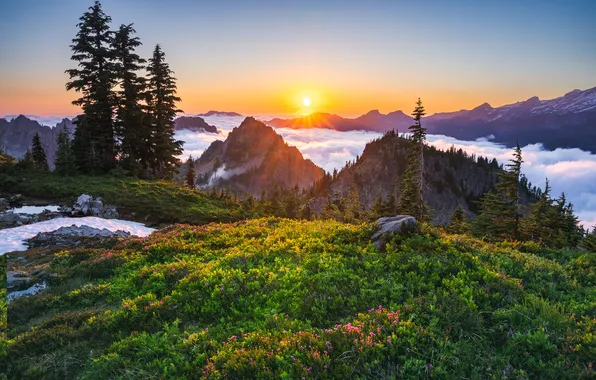 Зелень, лес, небо, солнце, лучи, снег, цветы, горы
