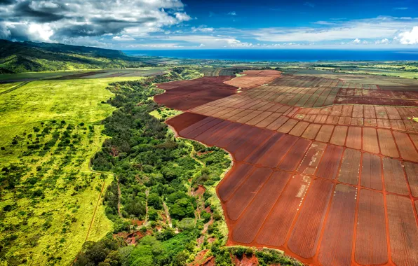 Картинка поле, небо, облака, деревья