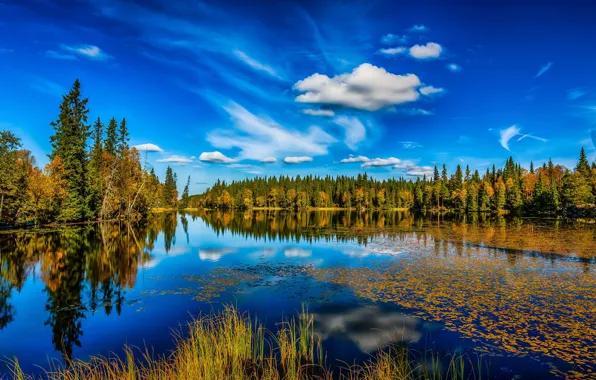 Картинка осень, лес, небо, озеро, отражение, Норвегия, Lønnsjøen