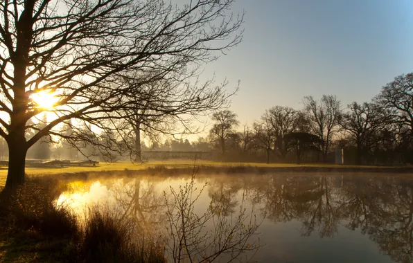 Картинка солнце, деревья, туман, озеро, Англия