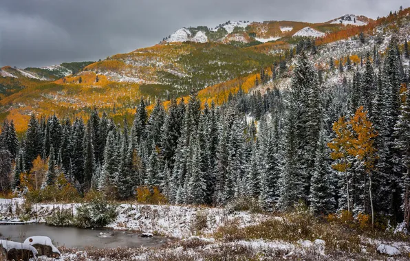 Картинка осень, снег, деревья, горы, Юта, водоём, Utah