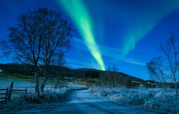 Зима, дорога, небо, деревья, северное сияние, Норвегия, Norway, Troms