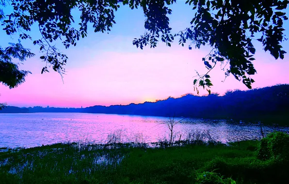 Sky, Grass, Water, Sunrise, Dawn, Morning, Lake, Trees