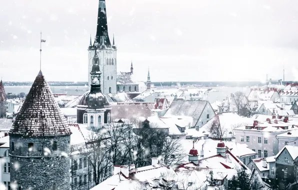 Картинка city, white, winter, snow, Tallinn, Estonia, architecture, snowfall