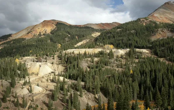 Деревья, пейзаж, горы, природа