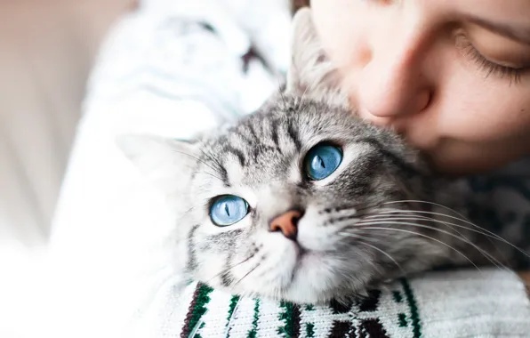 Кошка, кот, взгляд, девушка, любовь, портрет, поцелуй, голубые глаза