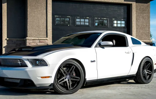 Car, mustang, ford, ford mustang, tuning, wheel, building, gt 5.0