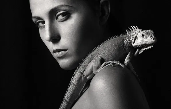 White, black, woman, iguana