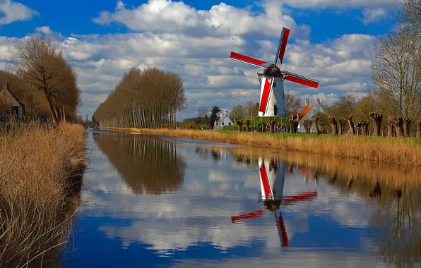 Картинка деревья, дома, канал, Бельгия, Фландрия, ветряная мельница