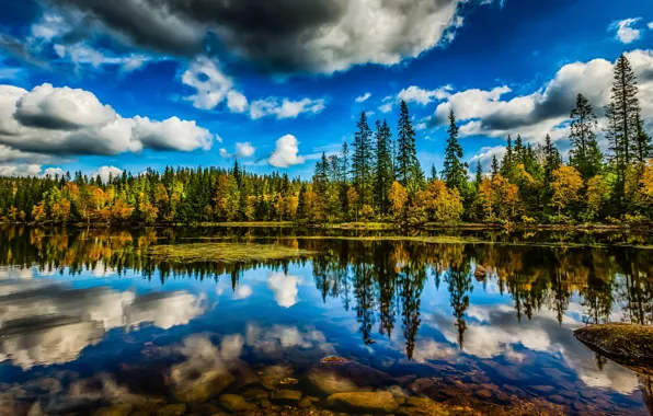 Картинка лес, небо, облака, деревья, озеро, отражение, HDR, Норвегия