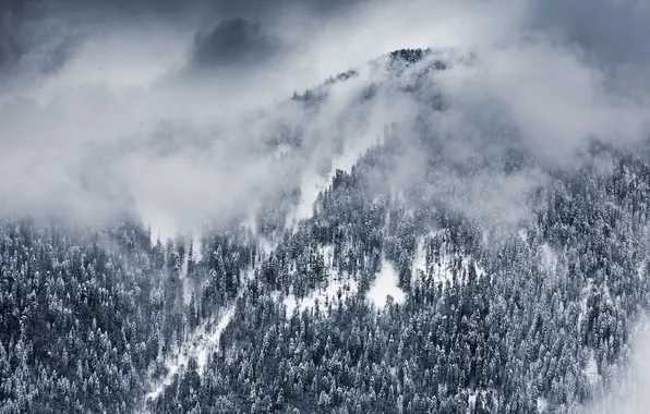 Зима, облака, снег, деревья, пейзаж, природа, обои, гора