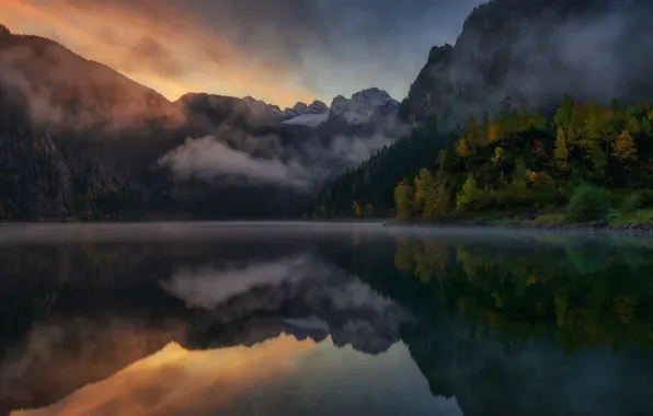 Картинка лес, горы, природа, туман, озеро