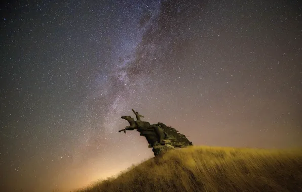 Небо, звезды, конь, памятник, Холм, всадник