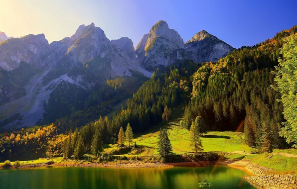 Осень, лес, деревья, горы, озеро, Австрия, Альпы, Austria