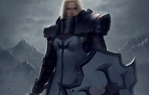 Картинка девушка, снег, горы, оружие, кровь, арт, щит, Diablo III