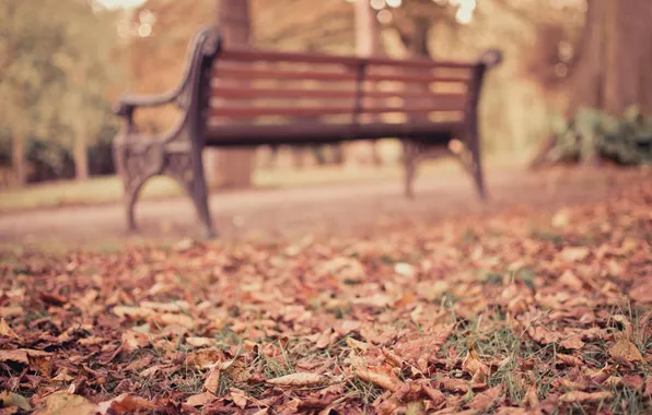Картинка осень, листья, город, парк, скамья