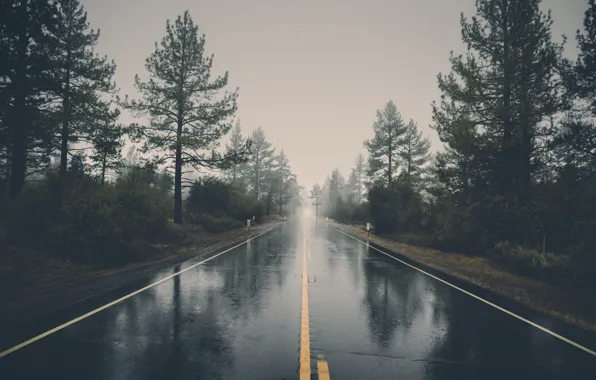 Дорога, деревья, машины, тучи, дождь, разделительная полоса