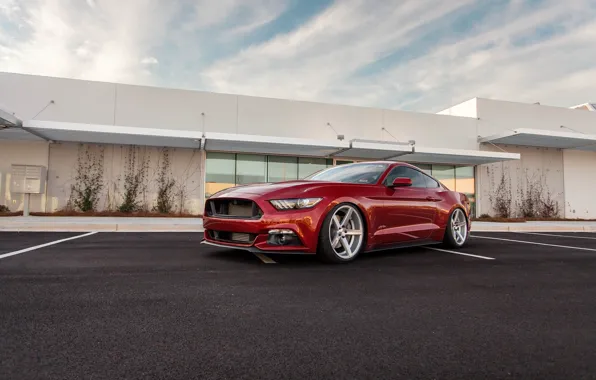 Картинка Mustang, Ford, Red, Parking, 2015