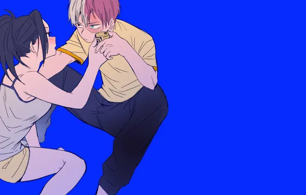 Моя геройская академия, My Hero Academia, Boku No Hero Academia, Тодороки Шото, Яойрозу Момо
