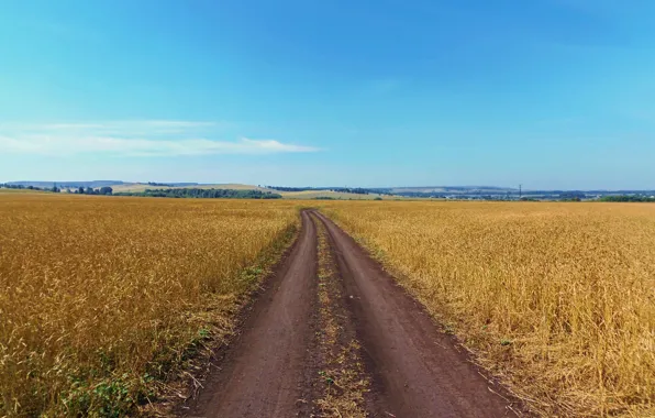 Небо, рожь, Поле, глубинка