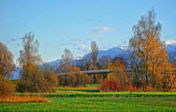 Картинка осень, трава, снег, деревья, горы, мост