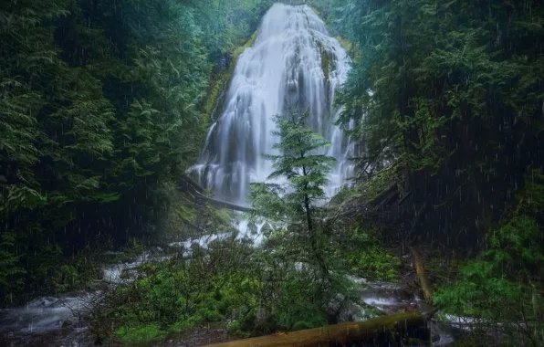 Лес, ручей, водопад, Орегон, каскад, Oregon, Columbia River Gorge, Fairy Falls