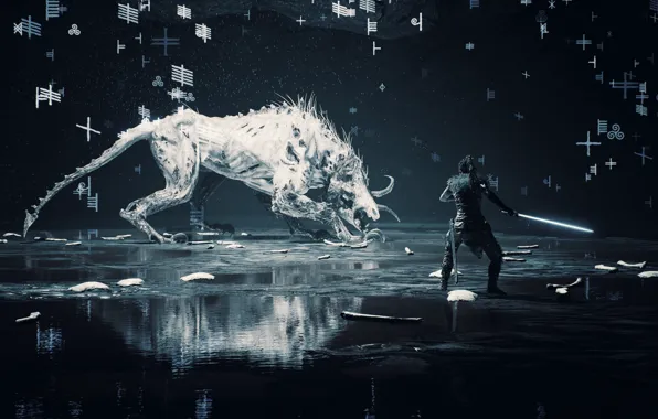 Воин, зверь, Hellblade Senua's Sacrifice