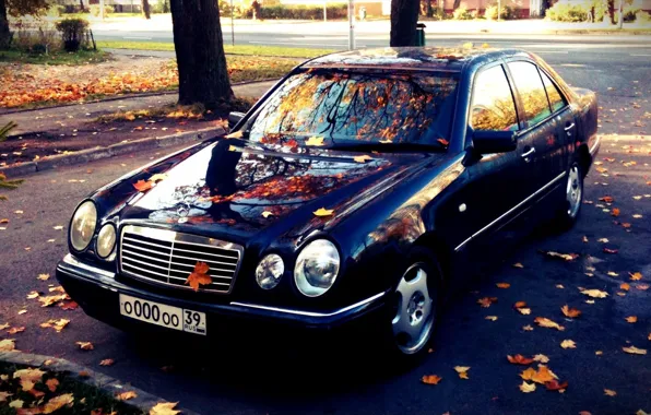 Mercedes-Benz, Mercedes, E-class, E-Klasse, 1996, E-класс, W210, Executivklasse