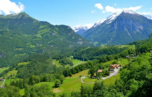 Картинка зелень, деревья, горы, поля, Швейцария, долина, домики, леса
