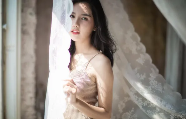Light, girl, woman, asian, shadow