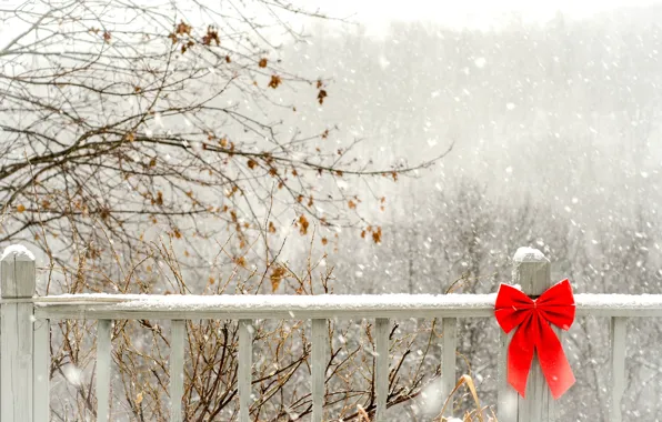 Картинка зима, снег, деревья, ветки, красный, забор, ограда, деревянный