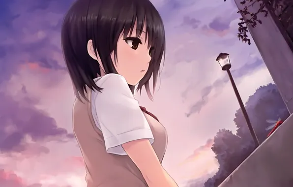 Картинка девушка, закат, город, арт, фонарь, coffee-kizoku, aoyama sumika