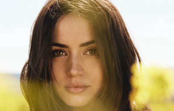 Взгляд, ангел, актриса, шатенка, красотка, beauty, angel, ana de armas