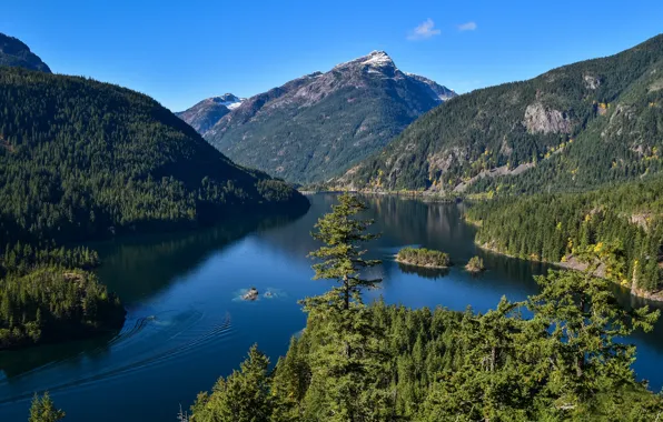 Лес, горы, озеро, штат Вашингтон, островки, Washington State, North Cascades National Park, Diablo Lake