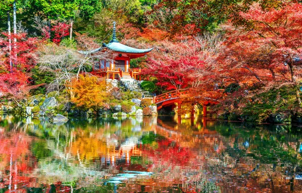 Картинка осень, листья, деревья, парк, Japan, Kyoto, nature, bridge