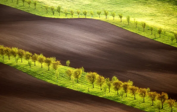 Colors, land, plantation