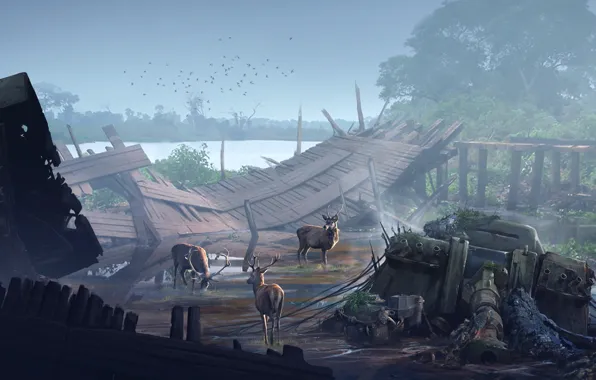 Разрушения, олени, gathering, the clash between nature Vs industrialization, 4th World
