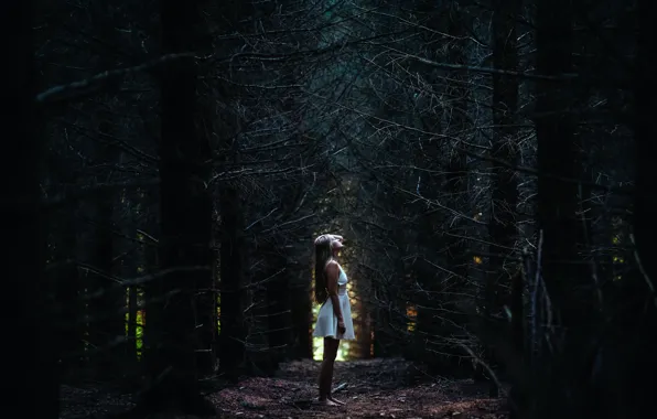 Картинка лес, девушка, платье, alone